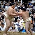 大関・琴桜、夏巡業終盤戦も基礎運動に重点　秋場所を見据え「基礎をきちんと戻す時期」