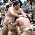 大栄翔「ご近所さんなので」　追手風部屋から徒歩圏内の草加巡業で声援に感謝