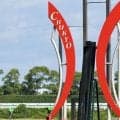【中京4R】単勝1.7倍、良血マイコンプリートが5馬身差圧勝