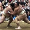 元大関・朝乃山が相撲を取る稽古再開し５番　「そろそろ取ろうと思っていた」 地元・富山の豪雨被害には「戦う姿をみせたい」