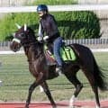 【中京２歳Ｓ・土曜気配】ジーティーマイカ大外枠も「良かったかな」前川調教師は歓迎　ＪＲＡ女性調教師初の重賞Ｖへ　