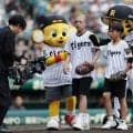 【阪神】小児がんサバイバーのバッテリーがファーストピッチセレモニーに登場
