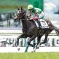 【中京2歳S前日オッズ】ジーティーマイカが2.4倍で1番人気