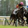 【新潟3R】今村聖奈がキムケンシーサーで差し切りV…今年のJRA・12勝目
