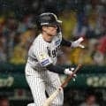 【阪神】マジック点灯の立役者・坂本誠志郎が叫んだ「３つ勝ちます！」主将が月間４本目の決勝打