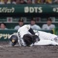 死球交代の森下翔太は左前腕部の打撲…長期離脱は回避か　阪神、優勝マジック23点灯も「大丈夫なんやろか」「素直に喜べんわ」虎党から心配の声殺到