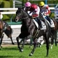 半兄は17年2歳王者のダノンプレミアム 「ウマ娘」藤田晋オーナーのドンテスタマスターが2連勝なるか
