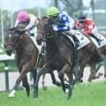 【中京2歳S予想】JRA2歳重賞第3弾 今回も未勝利馬の取捨がカギ