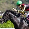 全兄はクロワデュノール チャリングクロスが3連勝でオープン昇級なるか