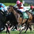 歴史的偉業への第一歩 ディアドラが制した17年紫苑Sをプレイバック
