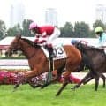 【札幌２Ｒ・２歳未勝利】馬名の由来は「ギャル魂」ギャルズマインドが派手にＶ　浜中俊騎手「いい勝ち方」