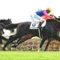 【中京２Ｒ・２歳新馬】メイショウセイクウが大外一気の豪快差し切り　松若風馬騎手「ポテンシャルは感じました」