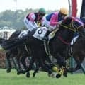 【中京2R新馬戦結果】メイショウセイクウが出遅れからの差し切りV デクラレーションオブウォー産駒