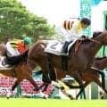 【新潟３Ｒ・２歳未勝利】単勝６１・７倍のニシノリリックス差し切る　初戦８着から石橋脩騎手「かなりの変わり身」