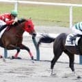 【新潟２Ｒ・２歳新馬】おばに桜花賞馬ハープスターのウラノグラフィアが初陣Ｖ　岩田望来騎手「勝ち負けできると思っていた」