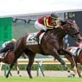 【新潟４Ｒ・２歳新馬】２冠牝馬の半弟チェスティーノが単勝１・７倍に応える　ルメール騎手「長い距離も大丈夫」エフフォーリア産駒が１０勝目