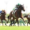 【中京３Ｒ・２歳新馬】柳田悠岐選手の愛馬ゴーイントゥノヴァが完勝　坂井瑠星騎手「オーナーが初の新馬勝利ということで…」