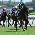 【中京3R新馬戦結果】キタサンブラック産駒ゴーイントゥノヴァが突き抜け快勝