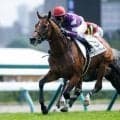 【札幌5R新馬戦結果】ハービンジャー産駒ヴァンクライが抜け出し快勝