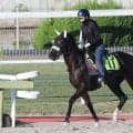 日曜中京競馬場の注目激走馬…中京７Ｒ中京２歳ステークス・Ｇ３