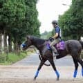 日曜新潟競馬場の注目激走馬…新潟８Ｒ新潟記念・Ｇ３