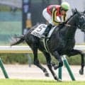 【新潟記念・馬体重】ゾロアストロは470kg(+2)、ロデオドライブは476kg(±0)