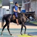 【新潟記念】３歳馬ゾロアストロが豪雨のなかＧ１ホース５頭を撃破　鼻出血で日本ダービー回避の休養明けも重賞２勝目