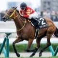 【JRA・WIN5】本日のWIN5は的中1944票、配当28万1590円
