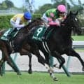 【中京2歳S結果】ジーティーマイカが断然人気に応え無傷2連勝 前川恭子調教師はJRA重賞初勝利