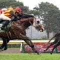 【新潟記念】３歳馬ゾロアストロが豪雨のなかＧ１ホース５頭を撃破　鼻出血で日本ダービー回避の休養明けも重賞２勝目
