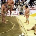大相撲夏巡業で館内騒然！ぶつかり稽古で土俵から転げ落ちて大の字になり荒い呼吸、霧島「ピシッと終わりたかった」