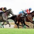【中京８Ｒ・熊野特別】３歳のカフジエメンタールが連勝　坂井瑠星騎手「距離をこなせた」５億円馬サガルマータは１０着
