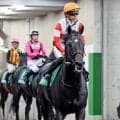 【新潟記念】ダノンシーマは頭＋頭差３着　Ｇ１ホース５頭押さえ１番人気も　川田将雅騎手「すばらしい走りでした」