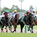 【中京２歳Ｓ】シスキンブルームが２着でシスキン産駒がワンツー決着　団野大成騎手「勝ち馬とは枠の差」