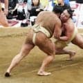 全身泥だらけ、フラフラ…朝白龍が大関霧島から“かわいがり”受ける「強くなれる」夏巡業最終日