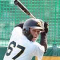【阪神】森下翔太の代わりは高寺望夢　近本の代役43試合、中野の代役８試合の超お助けマン