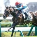 【京成杯AH】フォルテアンジェロ、レザベーションなどが登録