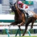 【札幌2歳S】ノヴァヴェローチェ、ショウナンガレオンなどが登録