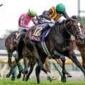 【紫苑S】ドリームコア、ジッピーチューンなどが登録