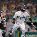 【阪神】中野拓夢が７回にダイビングキャッチ　３回には２点タイムリー、攻守でチームをけん引