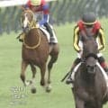 「恐ろしく走る」2冠牝馬の弟が新馬V…産駒絶好調の父＆“勝ち上がり率100％”母のエリート血統も話題に「クラシック期待」