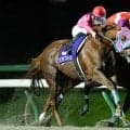 【盛岡・ビューチフルドリーマーC結果】ラブラブパイロがゴール前で差し切り重賞2勝目