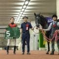 【新潟記念】岩田望「一層パワーを増した」ゾロアストロがG1馬を撃破