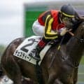 【新潟4R】良血チェスティーノがデビューV…二冠牝馬チェルヴィニア半弟