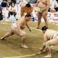 大の里　秋場所へ照準　夏巡業全日程終了「大事な初日に向けて稽古を」　完全復活へ準備着々