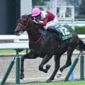 秋競馬が開幕！ 紫苑S・セントウルSなど4重賞/今週の競馬界の見どころ