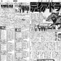 【競走伝】世界８か国を渡り歩いた「鉄の女」の第一歩…日英Ｇ１勝ちの偉業を成し遂げた名牝の重賞初勝利　２０１７年紫苑Ｓ