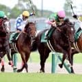 【中京２歳Ｓ・レースメモ】ジーティーマイカでシスキン産駒が当レース初出走・初勝利