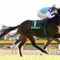 【競走伝】“４０億円ホース”アドマイヤムーンの重賞初制覇　その馬上にいたのは… 　２００５年札幌２歳Ｓ