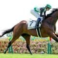 【中京３Ｒ・２歳新馬】ソフトバンク・柳田悠岐選手、所有馬で初の新馬勝ちに「ありがたいですね」　